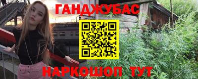 гашик Славгород
