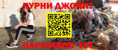 гашик Славгород