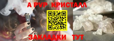 гашик Славгород