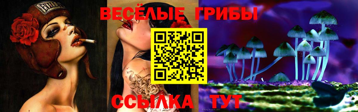 Павлово  Галлюциногенные грибы прущие грибы  Вход с VPN 